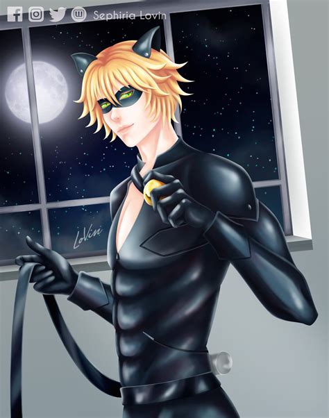 cat noir hot